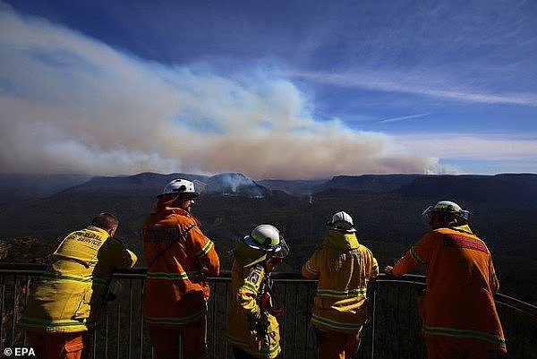 新州山火肆虐，烟尘弥漫！悉尼水源地恐遭山火灰烬污染（组图） - 1
