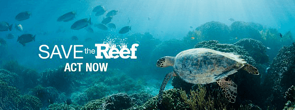 全球环保先锋守护大堡礁行动 - 4