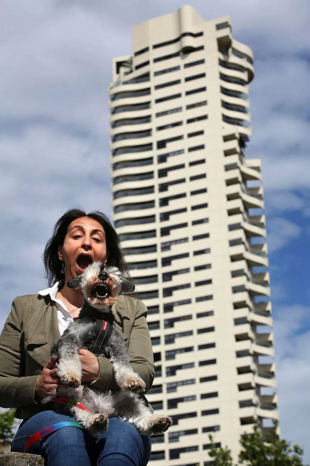 【宠物】新州法庭官宣！公寓禁宠令终于被推翻，悉尼爱宠人都笑了！ - 8