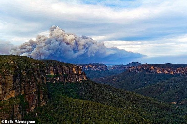 新州山火失控升级，漫天“毒气”，20多个组织连署：悉尼现公共健康危机，政府应紧急干预！（视频/组图） - 4