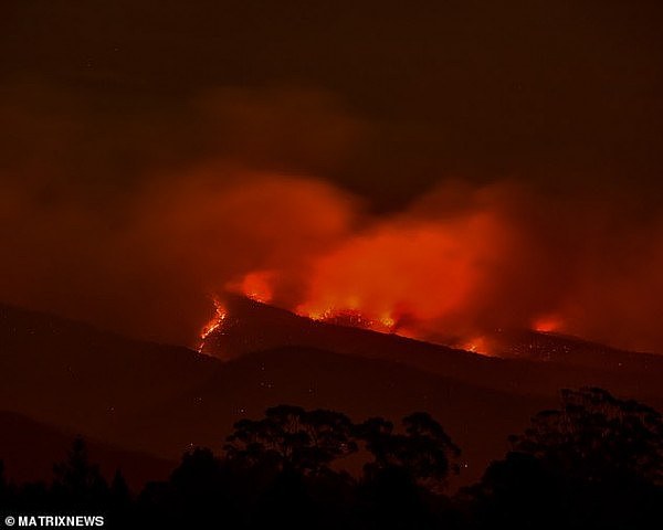 新州山火失控升级，漫天“毒气”，20多个组织连署：悉尼现公共健康危机，政府应紧急干预！（视频/组图） - 9