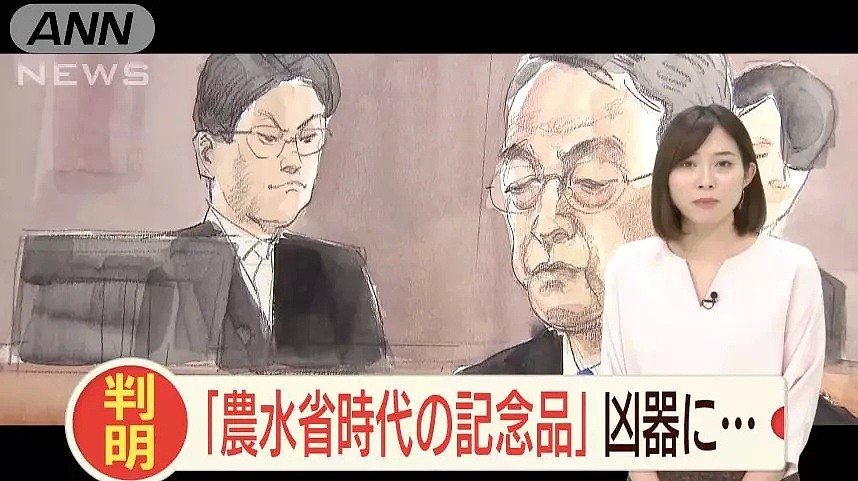 妹妹因他自杀，母亲被打断肋骨自杀未遂，日本高官杀“啃老族”儿子背后，是一个家庭的悲哀…（组图） - 19