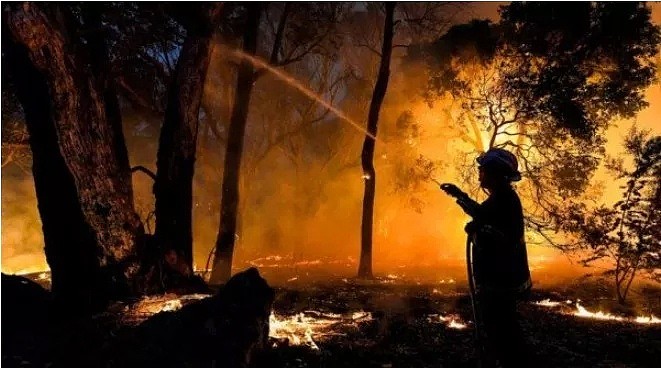 电力瘫痪、加油站爆毁、西澳山火肆虐，多地告急！近万人生命财产受到威胁... - 8