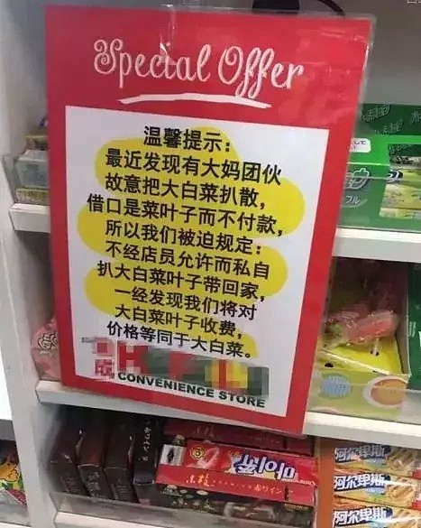 8万难民来澳，中国人占了一大批？！澳洲政府：中国人求你们别来了！真的怕了！ - 34