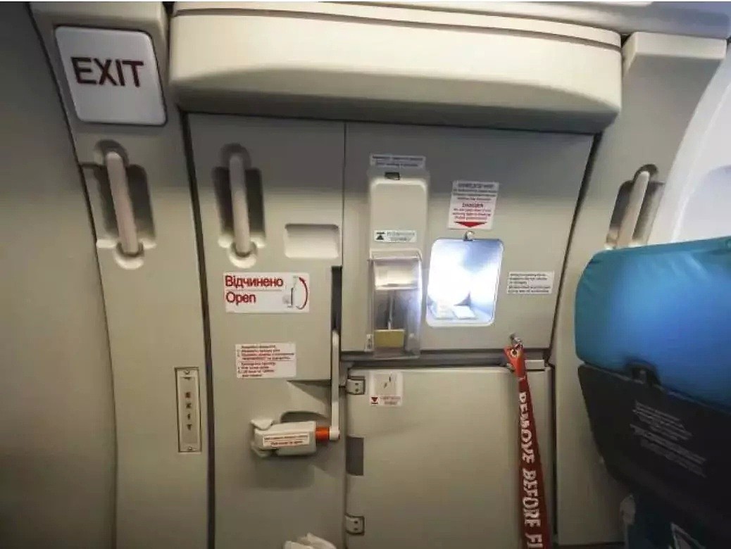 视频曝光！悉尼航班紧急迫降，客舱浓烟滚滚！鲜血飞溅，多人受伤！空姐尖叫快跑，却还有乘客疯了般拿行李…（视频/组图） - 8