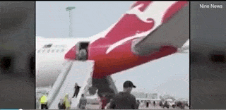 视频曝光！悉尼航班紧急迫降，客舱浓烟滚滚！鲜血飞溅，多人受伤！空姐尖叫快跑，却还有乘客疯了般拿行李…（视频/组图） - 25