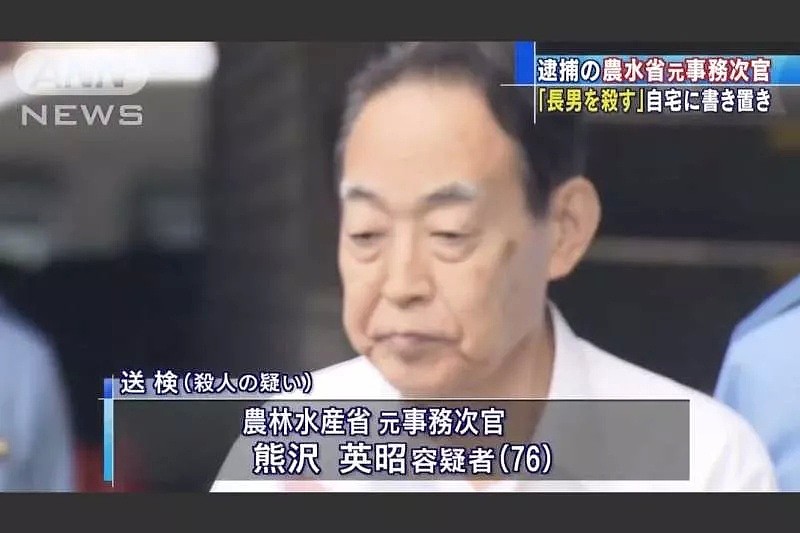 妹妹因他自杀，母亲被打断肋骨自杀未遂，日本高官杀“啃老族”儿子背后，是一个家庭的悲哀 - 13