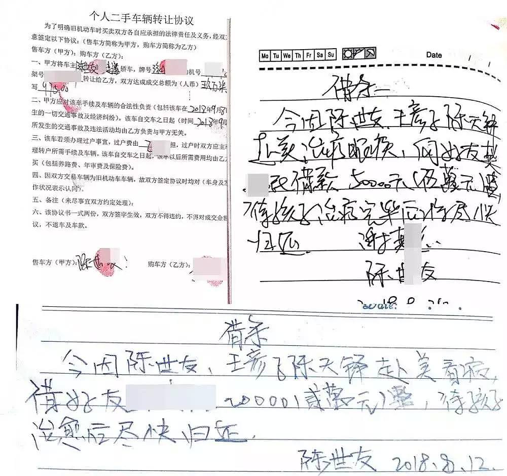 中国女博士带孩子在美国蹭吃遭白人嘲讽，真相令人落泪！（组图） - 8