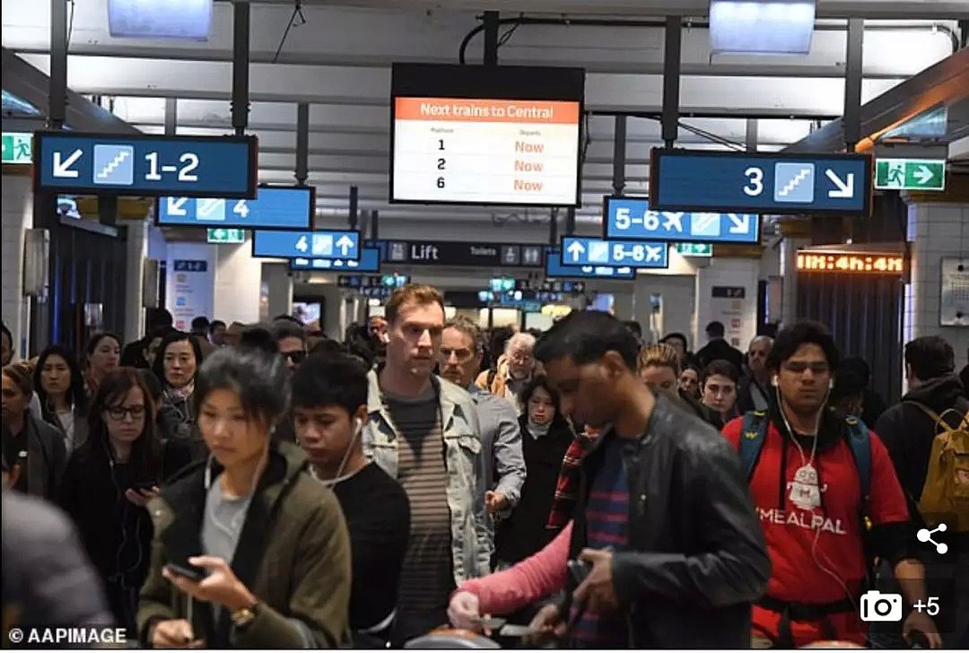 悉尼华裔老翁跌下城铁站台，或需截肢！火车紧急停运，交通一片混乱！（组图）>> - 5