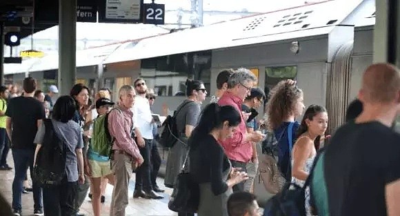 悉尼华裔老翁跌下城铁站台，或需截肢！火车紧急停运，交通一片混乱！（组图）>> - 37