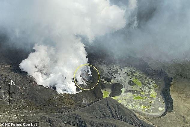 新西兰火山爆发致游客严重烧伤，需从尸体移植皮肤治疗，多人昏迷