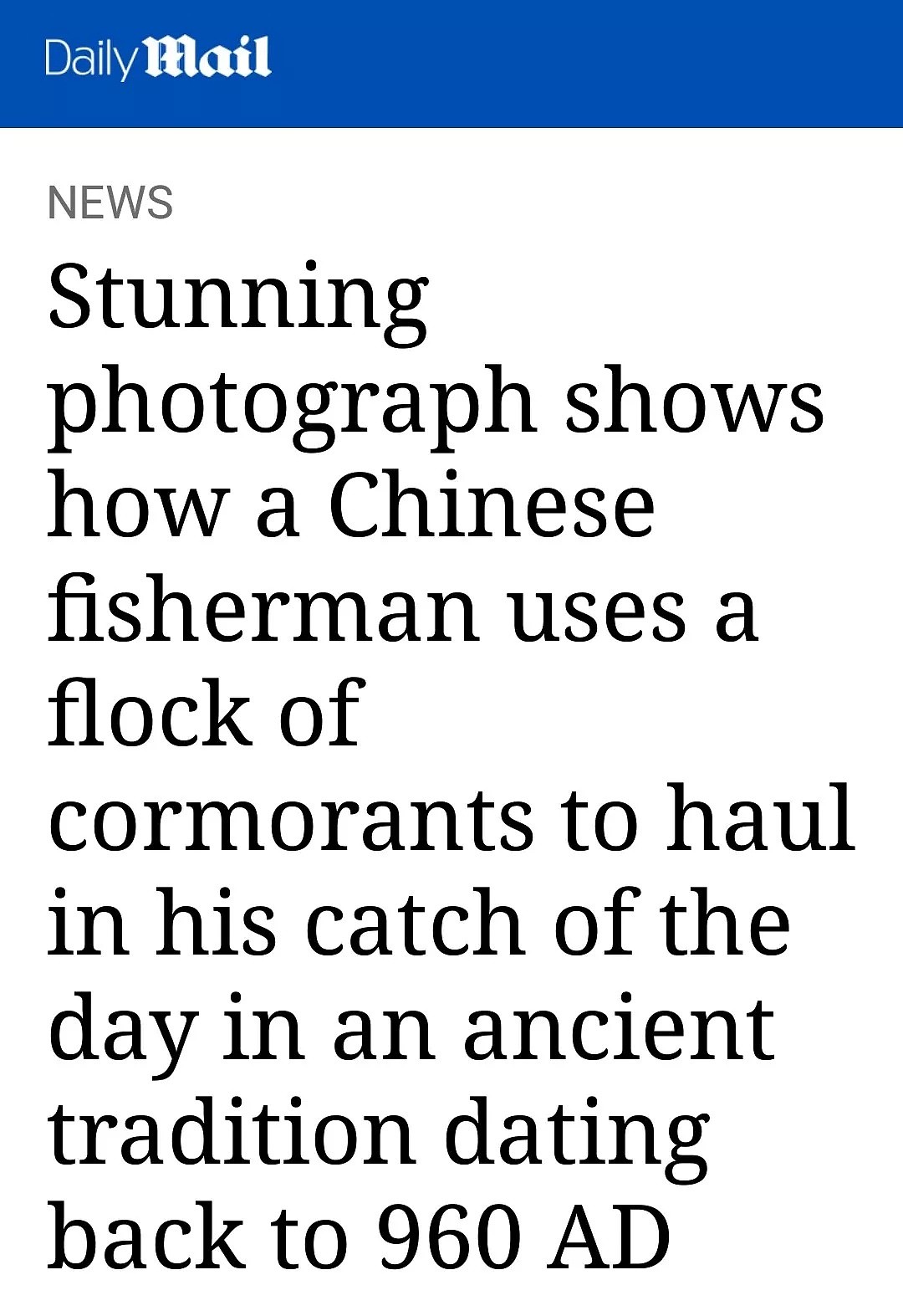 英媒报道中国传承千年的鱼鹰捕鱼技，惊人照片震撼外国人（组图） - 1