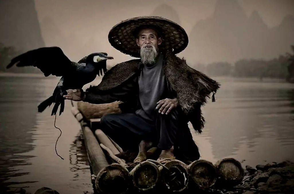 英媒报道中国传承千年的鱼鹰捕鱼技，惊人照片震撼外国人（组图） - 3