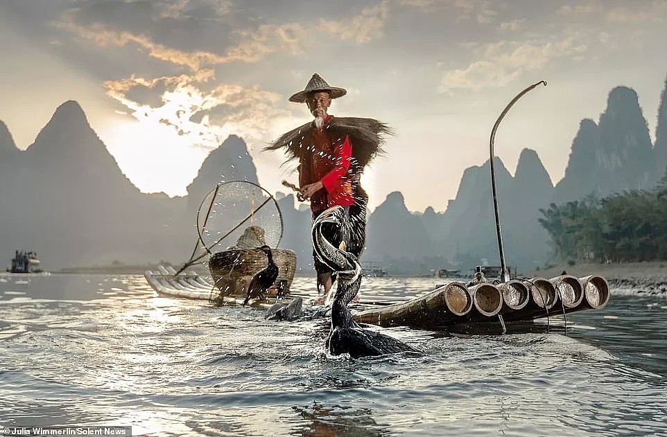 英媒报道中国传承千年的鱼鹰捕鱼技，惊人照片震撼外国人（组图） - 9