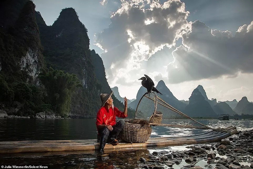 英媒报道中国传承千年的鱼鹰捕鱼技，惊人照片震撼外国人（组图） - 12