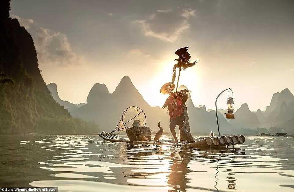 英媒报道中国传承千年的鱼鹰捕鱼技，惊人照片震撼外国人（组图） - 14