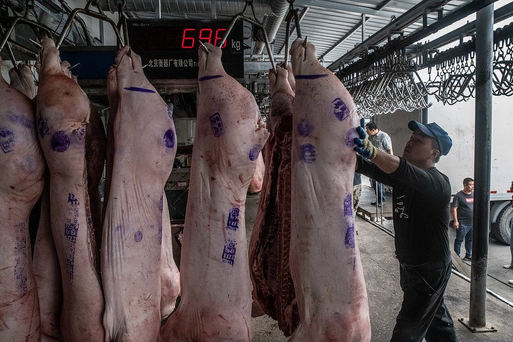 北京郊区的一个国家猪肉储备仓库，工人正在从卡车上卸货。