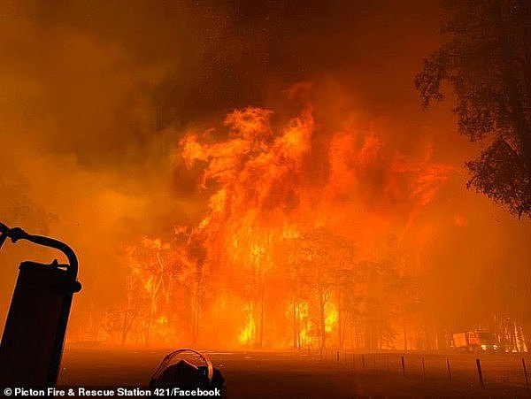 新州两处大火快合体，“超级山火”恐围断悉尼！州长宣布进入紧急状态！知情人：“2周前原本可扑灭”（视频/组图） - 1