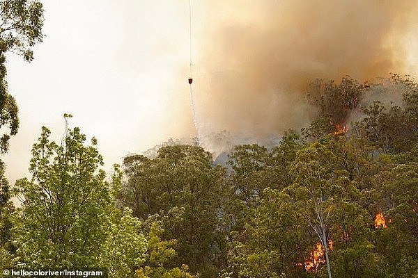 新州两处大火快合体，“超级山火”恐围断悉尼！州长宣布进入紧急状态！知情人：“2周前原本可扑灭”（视频/组图） - 5