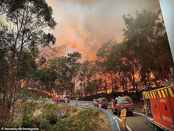 新州两处大火快合体，“超级山火”恐围断悉尼！州长宣布进入紧急状态！知情人：“2周前原本可扑灭”（视频/组图） - 4