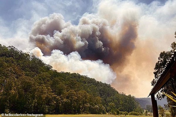 新州两处大火快合体，“超级山火”恐围断悉尼！州长宣布进入紧急状态！知情人：“2周前原本可扑灭”（视频/组图） - 6