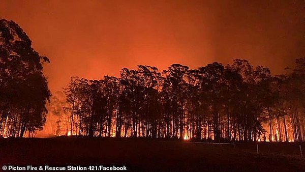 新州两处大火快合体，“超级山火”恐围断悉尼！州长宣布进入紧急状态！知情人：“2周前原本可扑灭”（视频/组图） - 9