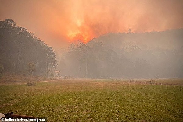新州两处大火快合体，“超级山火”恐围断悉尼！州长宣布进入紧急状态！知情人：“2周前原本可扑灭”（视频/组图） - 10