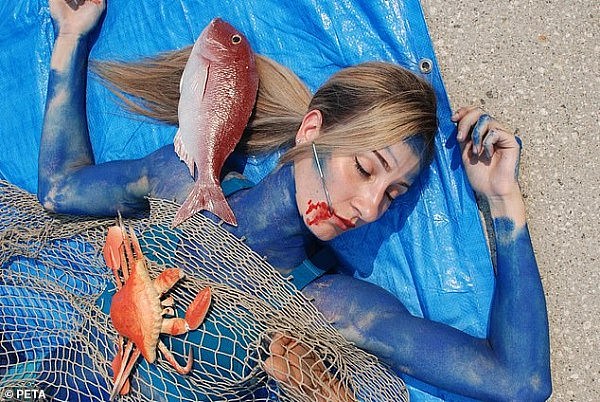 悉尼将要举办“海鲜马拉松”，素食主义者在码头扮成死鱼集体抗议（组图） - 3