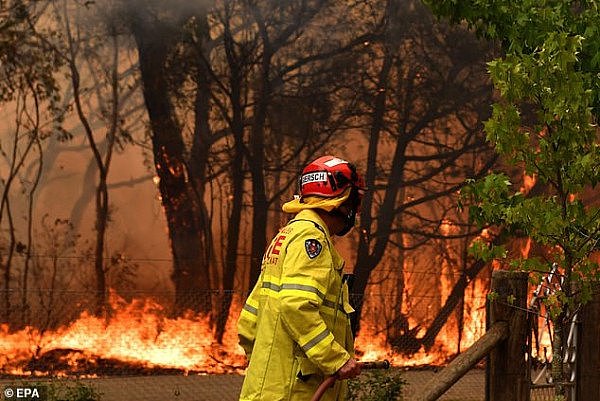 “世界末日！”新州失控山火靠近城镇，数十栋民宅焚毁！势头直指悉尼，数百人紧急撤离（视频） - 11