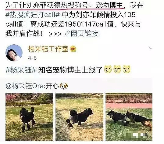 杨采钰与大30岁陈金飞领证，连刘亦菲和金晨也上了热搜……（组图） - 19