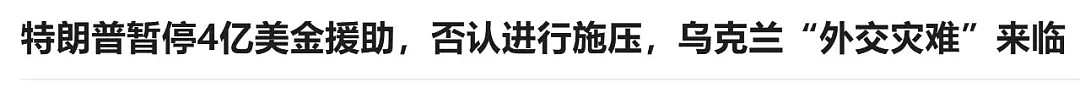 特朗普被美国众议院弹劾 但对他连任可能是好事（组图） - 3