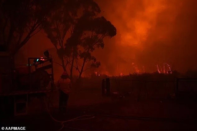 澳洲人彻底怒了！2名志愿消防员牺牲！总理被迫取消休假返澳！全民痛骂：“你死哪儿去了！”（组图） - 63