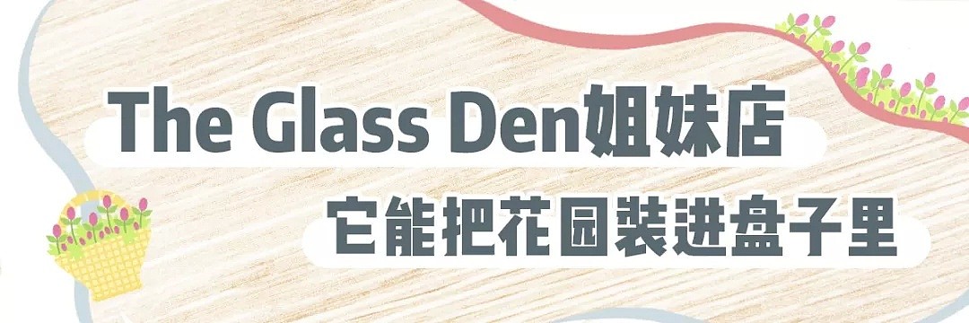 必打卡！2019年刷爆ins的森林系brunch店，Glass Den的神仙姐妹店，超高颜值！ - 7