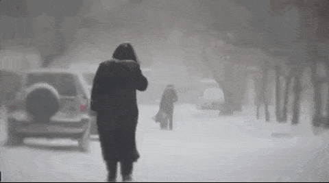 多图！美国东北部遭遇罕见雪飑 纽约宛如世界末日（动图） - 11