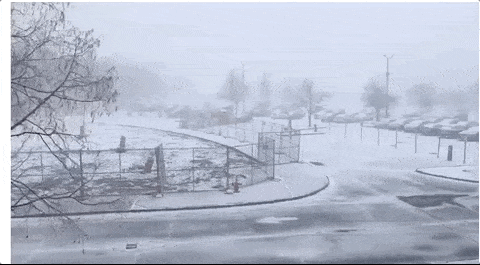 多图！美国东北部遭遇罕见雪飑 纽约宛如世界末日（动图） - 18