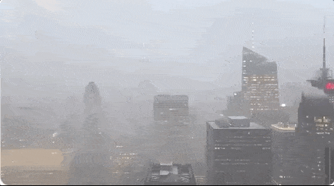 多图！美国东北部遭遇罕见雪飑 纽约宛如世界末日（动图） - 20