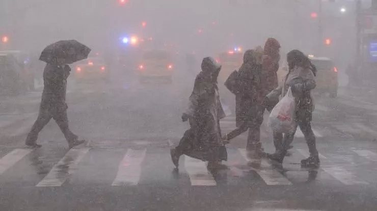 多图！美国东北部遭遇罕见雪飑 纽约宛如世界末日（动图） - 23