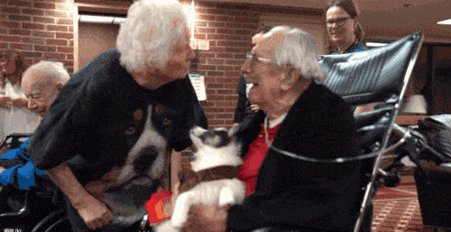 27岁孙子和93岁奶奶拍了一组合照，圈粉1300万！网友：奶奶太酷，孙子好暖…… （组图） - 41
