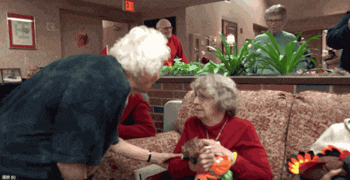 27岁孙子和93岁奶奶拍了一组合照，圈粉1300万！网友：奶奶太酷，孙子好暖…… （组图） - 42