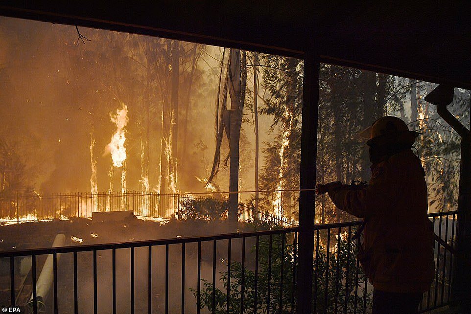 RFS volunteers and NSW Fire and Rescue officers protect a home from the flames racing towards it from the Gospers Mountain fire near Colo Heights on November 19