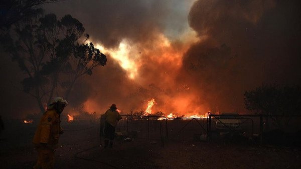 “灾难性”山火横扫新州，村庄遭重挫，数百栋建筑被焚，下周末更加严峻挑战来袭（组图） - 1