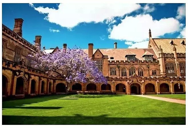 2019年澳洲各大学“糖宝”人数排名出炉！澳洲一半“糖宝”都是大学生！悉大排名第三（组图） - 9
