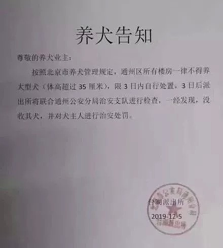 突发！禁养大型犬条例在北京出台，评论区留下了1000条脏话... - 3