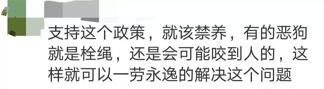 突发！禁养大型犬条例在北京出台，评论区留下了1000条脏话... - 10