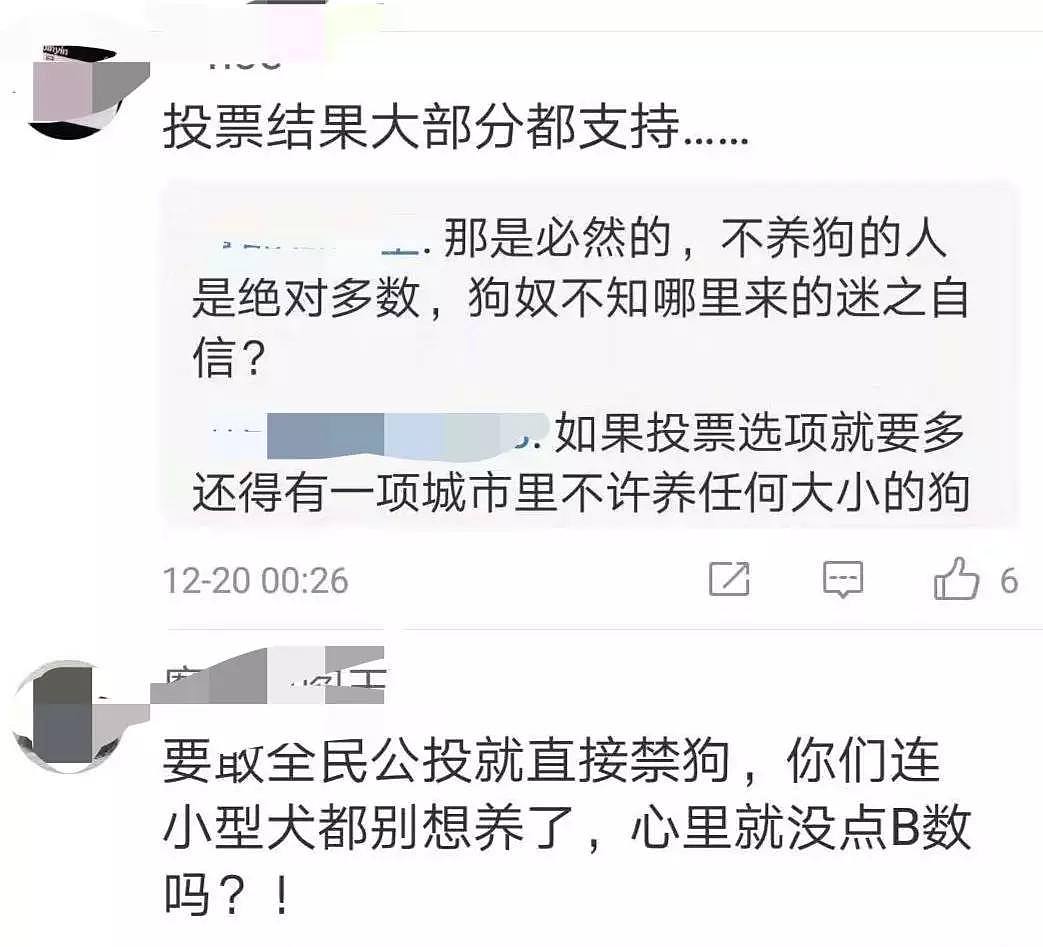 突发！禁养大型犬条例在北京出台，评论区留下了1000条脏话... - 12