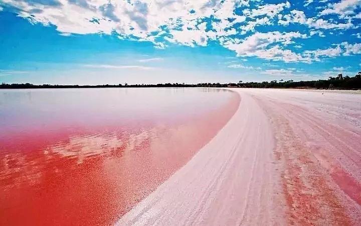 澳洲除了有粉红湖，竟然还有“荧光绿”小河?! 原来…… - 1