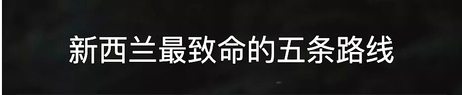 突发！新西兰发生车祸！2死1重伤！目击者称有车跨中线超车被撞（组图） - 10