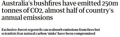 专家称山火造成的森林破坏恐怕很难恢复，上亿吨二氧化碳恐几十年难以被吸收！ - 2