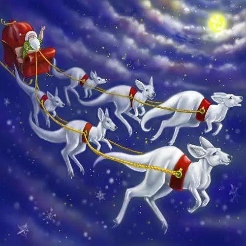 澳洲圣诞背后的故事：袋鼠拉雪橇，圣诞老人的起源…圣诞节不只有吃喝玩乐！（组图） - 2