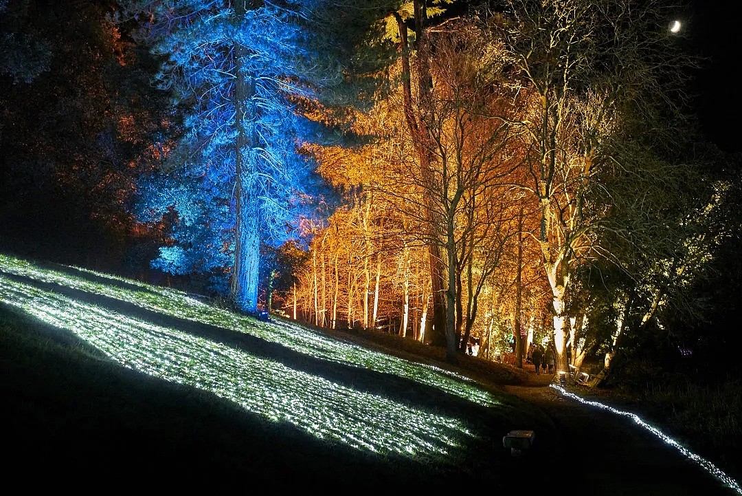 全球知名灯光展联手墨尔本皇家植物馆，带来史上最美的“人间仙境”，伸手摘星，置身仙境，让你去了就不想走... - 8